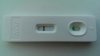 IMAG0154.jpg