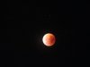 Bloedmaan 2015.jpg