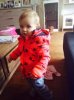 FB_IMG_1444310826296.jpg
