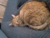 20150730_162916.jpg