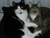 DSCN8012.jpg