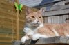 DSC_8415.jpg