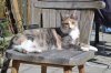 DSC_8405.jpg