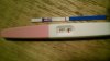 11 dpo.jpg