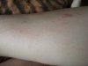 20151018_124635.jpg