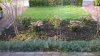 tuin2.jpg