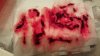 IMG-20151106-WA0043.jpg