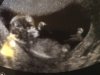 Baby b.jpg