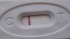 12dpo.jpg