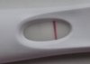 12dpo_predictor.jpg