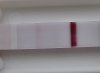 13dpo_action.jpg
