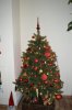 DSC_0876.jpg