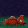 Pumba16