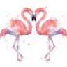 Flamingo88