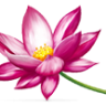 MargaLotus