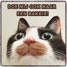 Sherriewerrie2907
