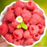 Framberry