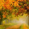 Herfstje