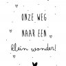 Vogeltje123