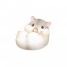 Chipmunk1010