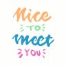 Nicetomeetyou