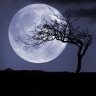 Moonlightqwerty