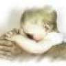 Born2Love