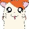 hamtaro