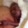 Marieke123