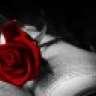 Sumera