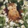 liekie25