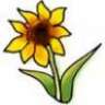kleinebloem