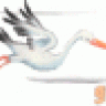Wherona