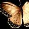 Mariposa2010