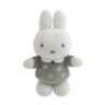Muis27