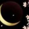 Moonflower