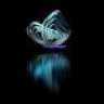 Butterfly6