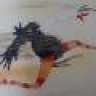 Fiet