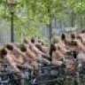 famsterdam