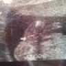 Hellow86