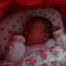 bian