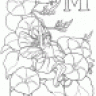 MSC