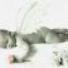 Cher87