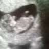 Olaa