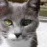 renate33