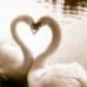 Lente2012