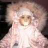 agnetha