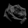 liefsd