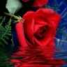 warda21