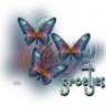 Butterflyzz